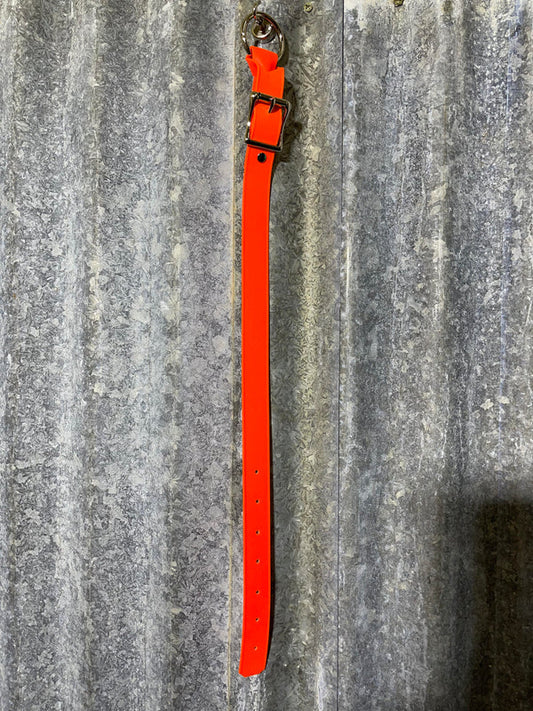 Fluro Orange -  PVC Dog Collar