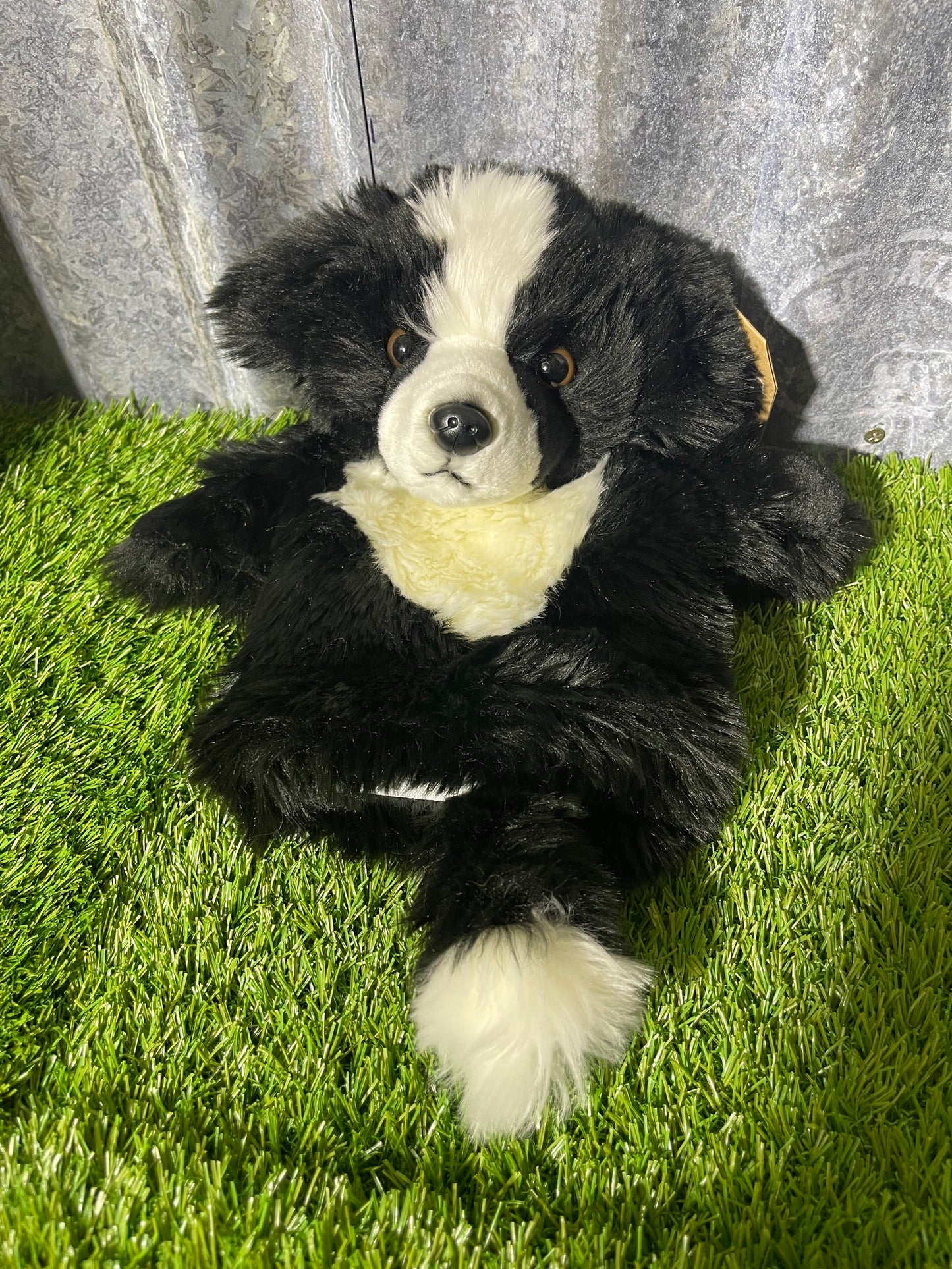 BORDER COLLIE PUPPET