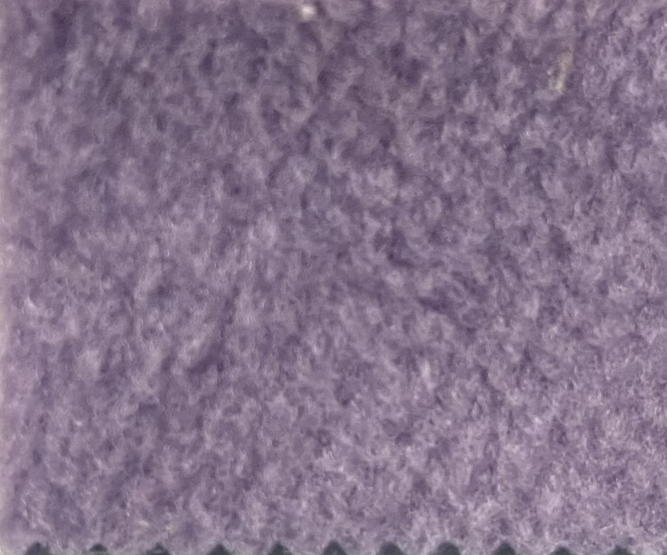 Swag Blanket - Brahman Cows