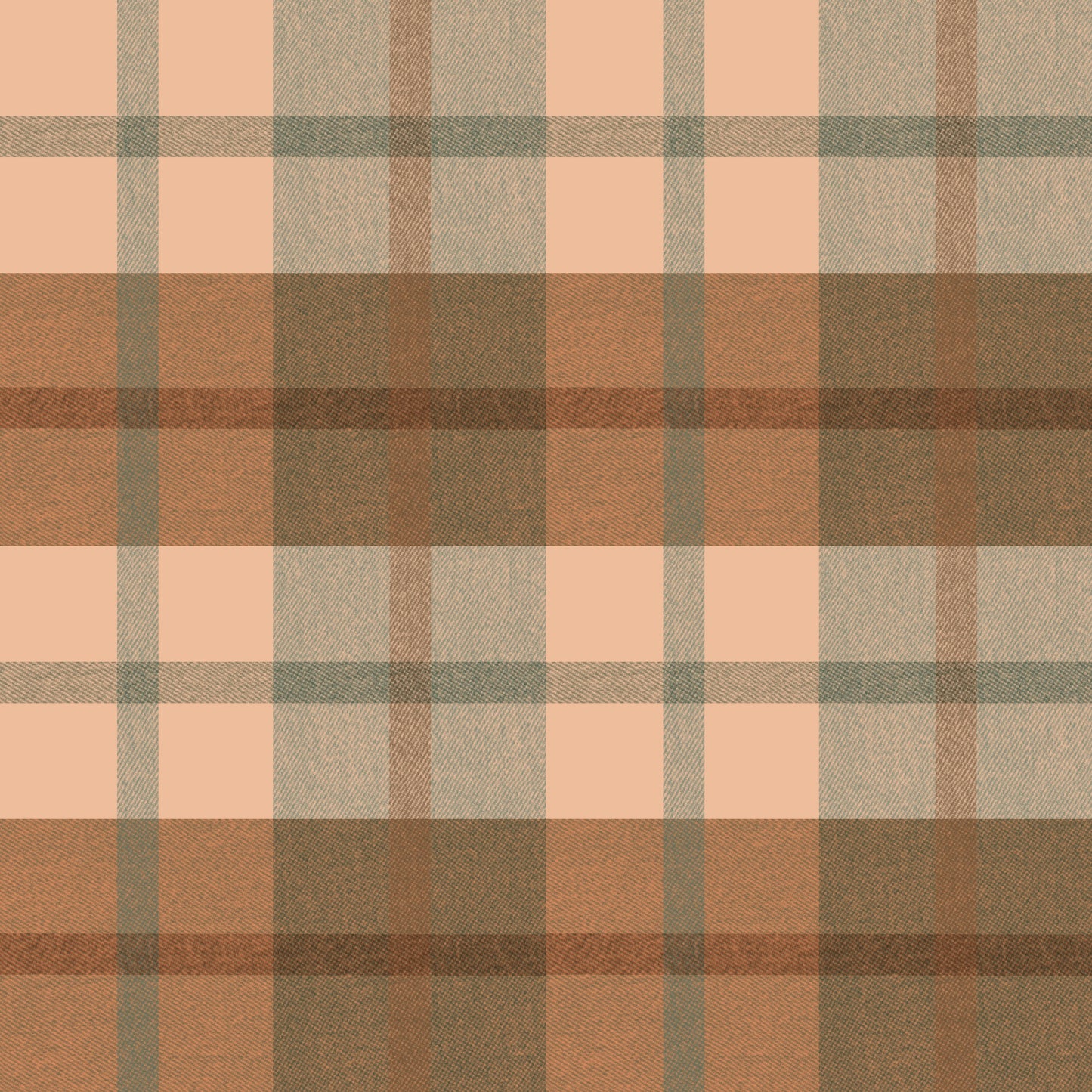 Pre Order Swag Blanket - PLAID 5