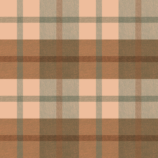 Pre Order Swag Blanket - PLAID 5