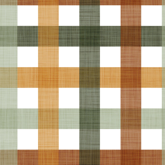 Pre Order Swag Blanket - PLAID 14