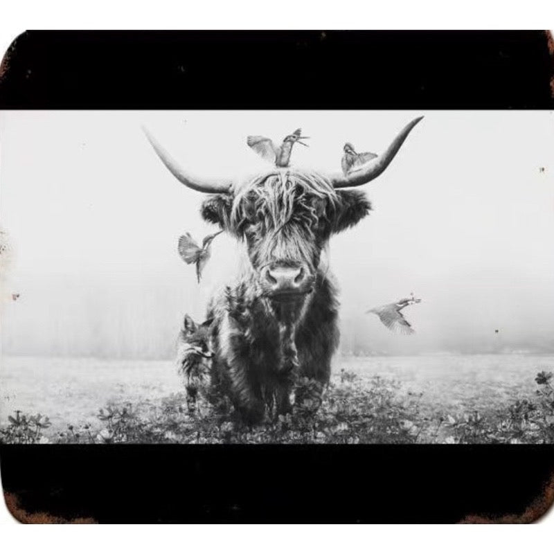 Tin Sign - Highland cow
