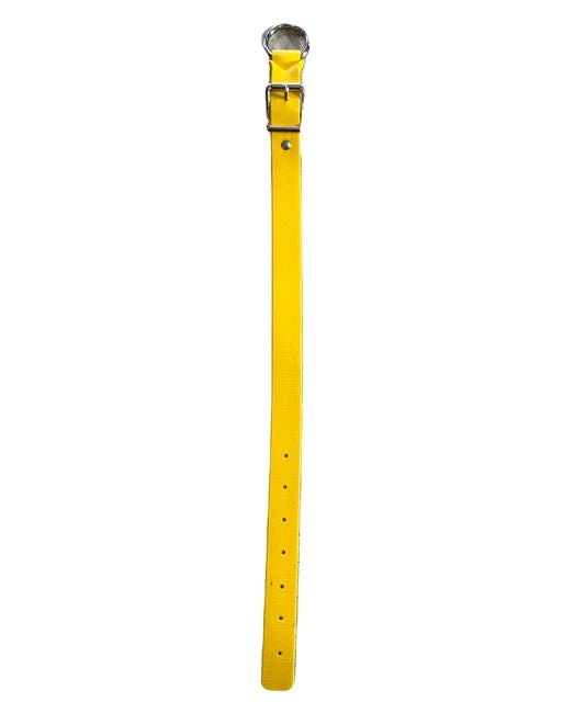 Yellow - PVC Dog Collar
