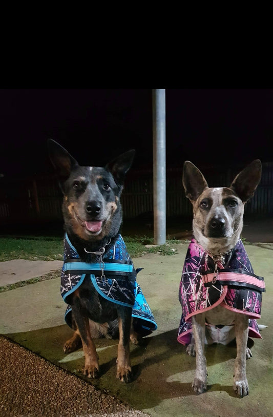 Camo Dog Coat