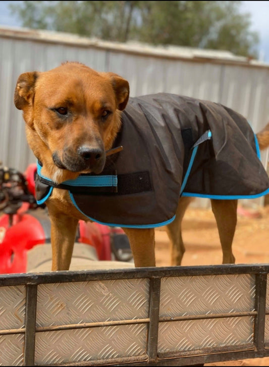 Oilskin Dog Coat