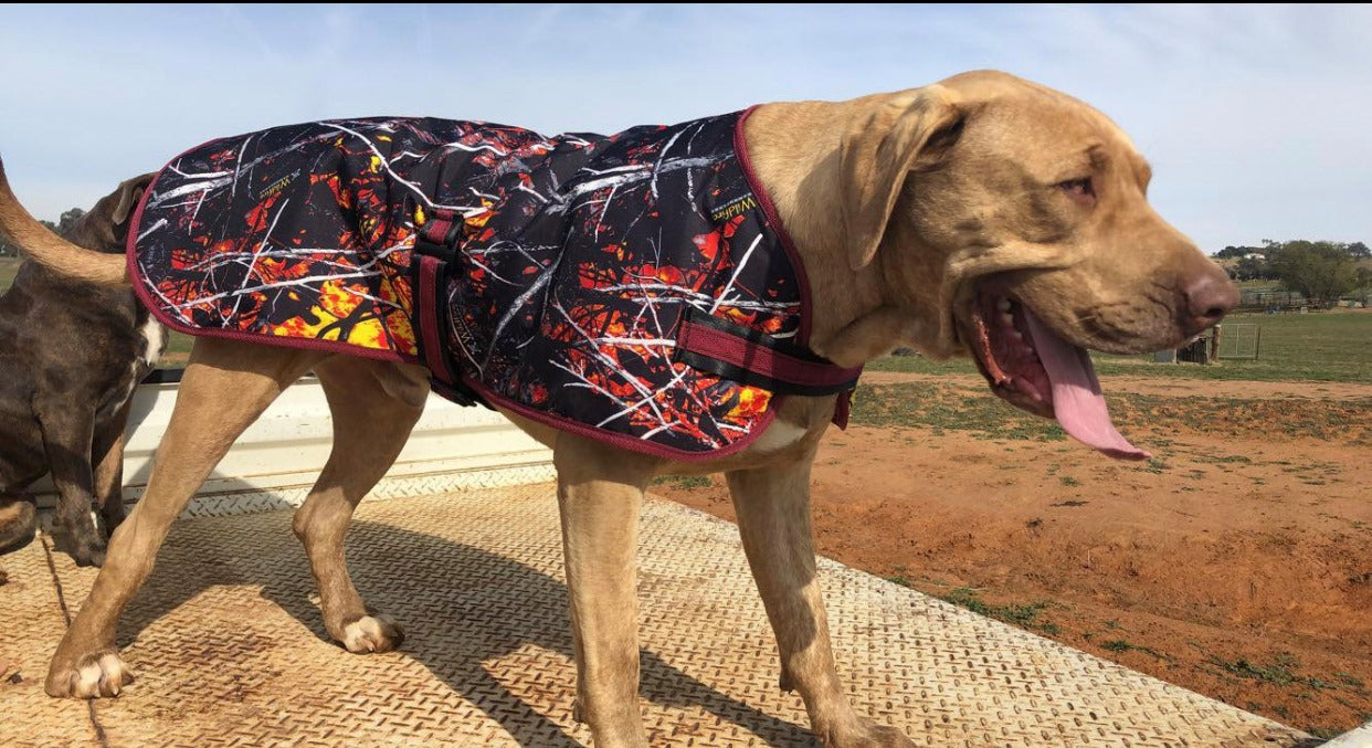 Camo Dog Coat