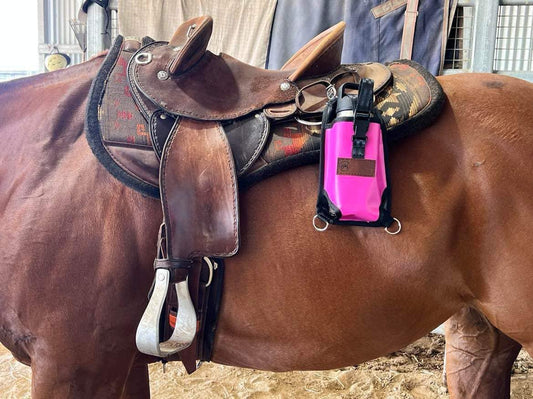 Water bottle holder for saddle or motorbike
