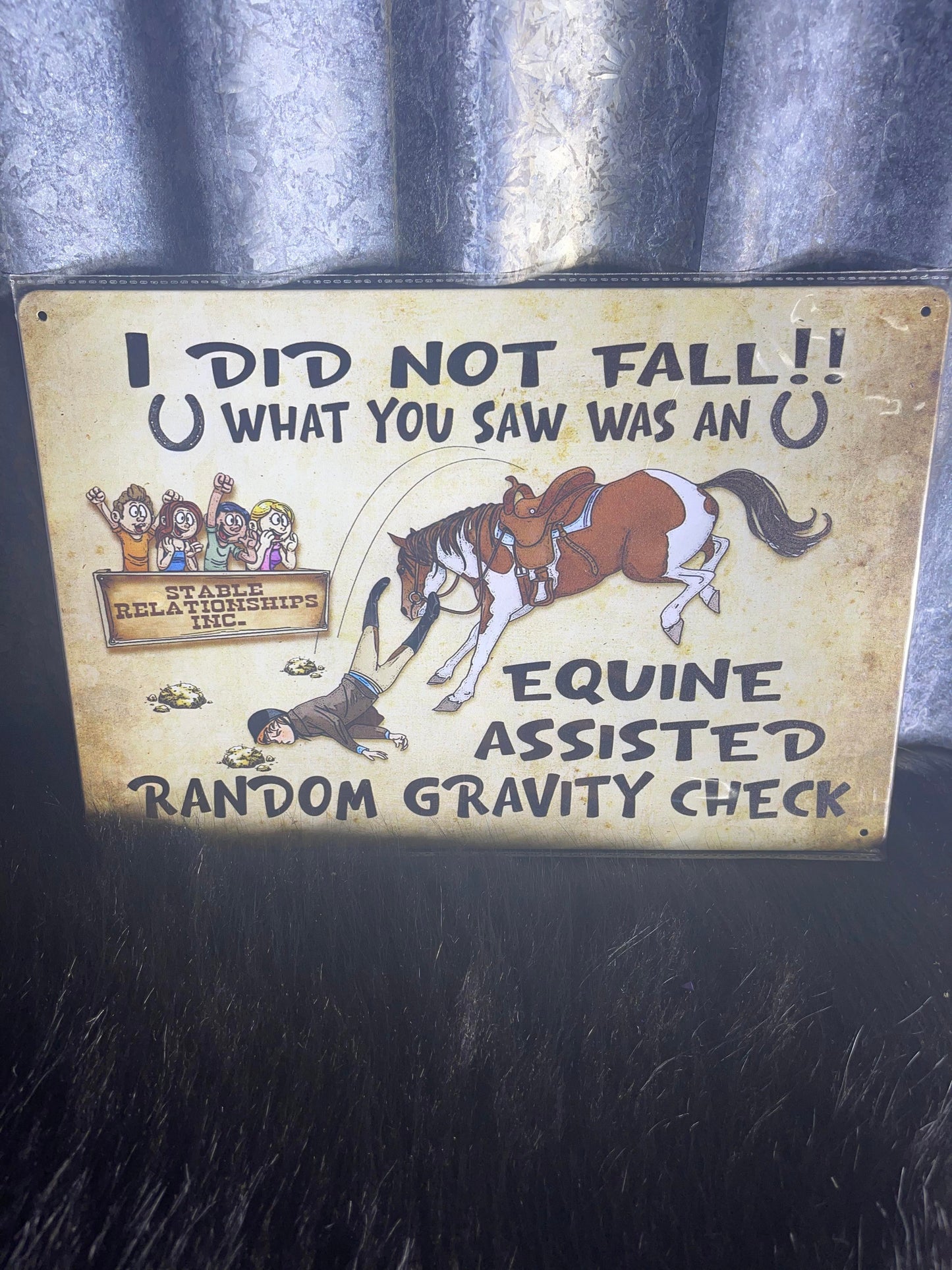 Tin Sign - I did not fall off