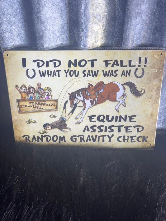 Tin Sign - I did not fall off