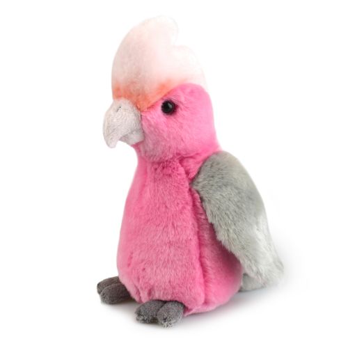 Galah (Lil Friends)