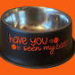 Dog Bowl - Have you seen my balls