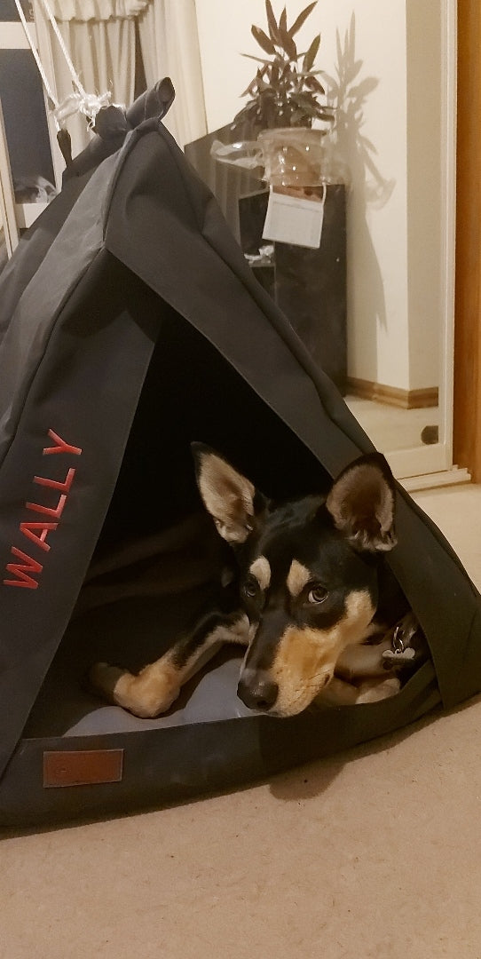 Dog Teepee (Swag)
