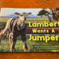 Lambert wants a jumper