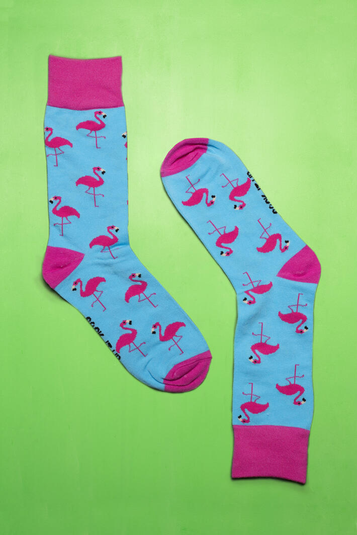 Socks - Meet the Flockers