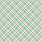 Pre Order Swag Blanket - PLAID 3