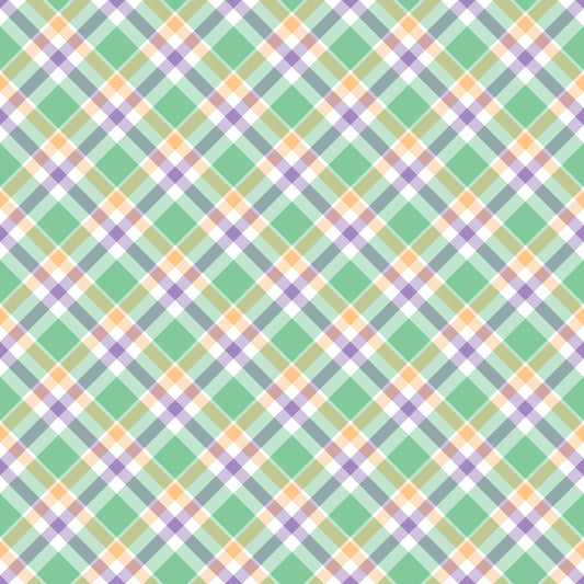 Pre Order Swag Blanket - PLAID 3