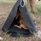 Dog Teepee (swag)