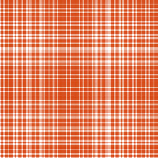 Pre Order Swag Blanket - PLAID 13