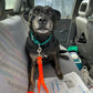Dog Seatbelt ties, leads
