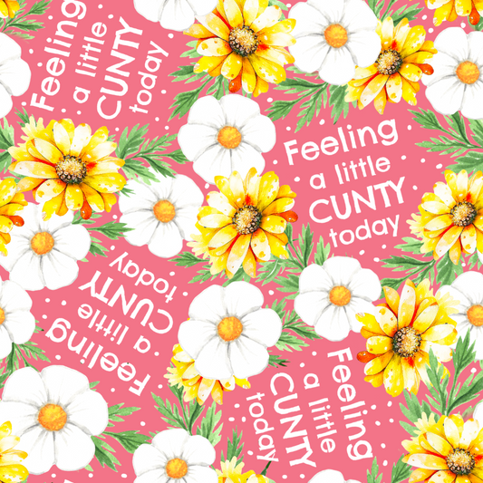 Pre Order Swag Blanket - SWEARING DESIGNS