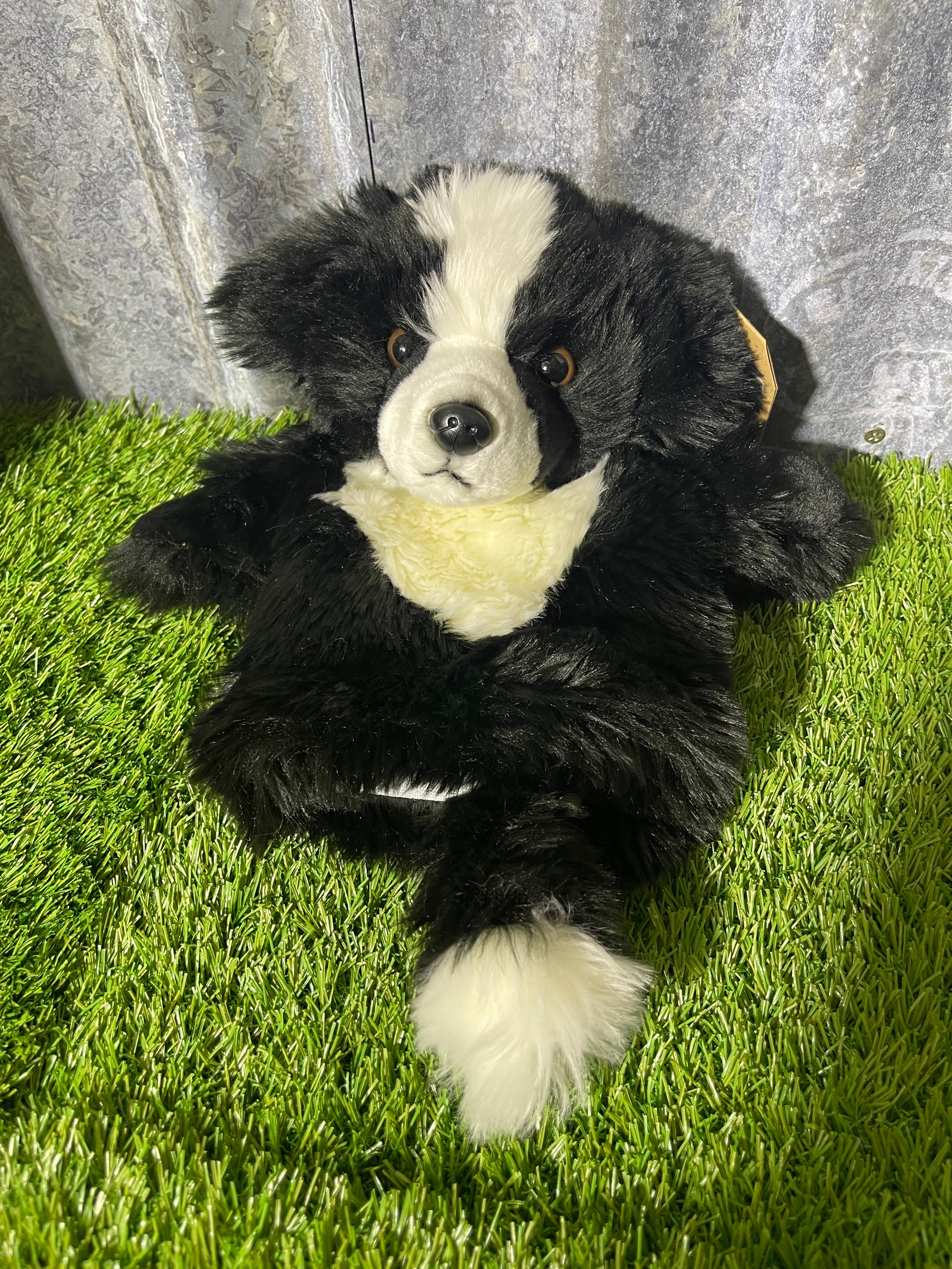 Border collie hot sale puppet