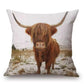 Cushions - Highland cow 1