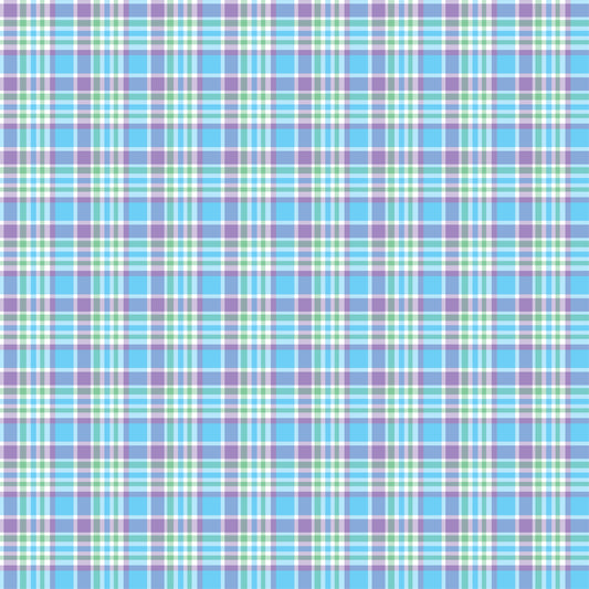 Pre Order Swag Blanket - PLAID 2
