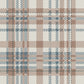 Pre Order Swag Blanket - PLAID 12