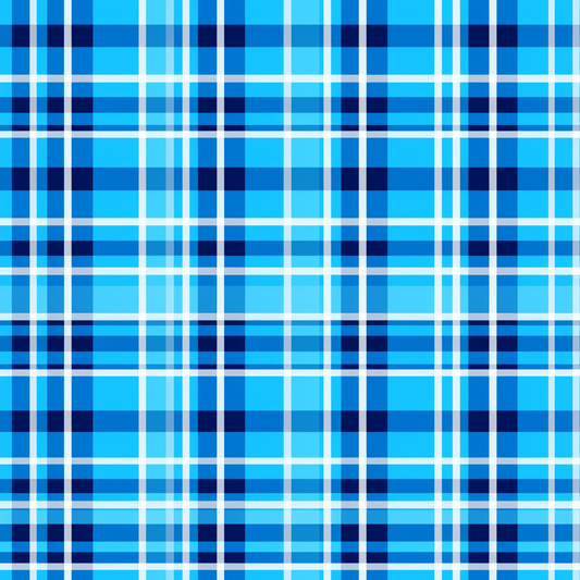Pre Order Swag Blanket - PLAID 10