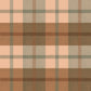 Pre Order Swag Blanket - PLAID 5