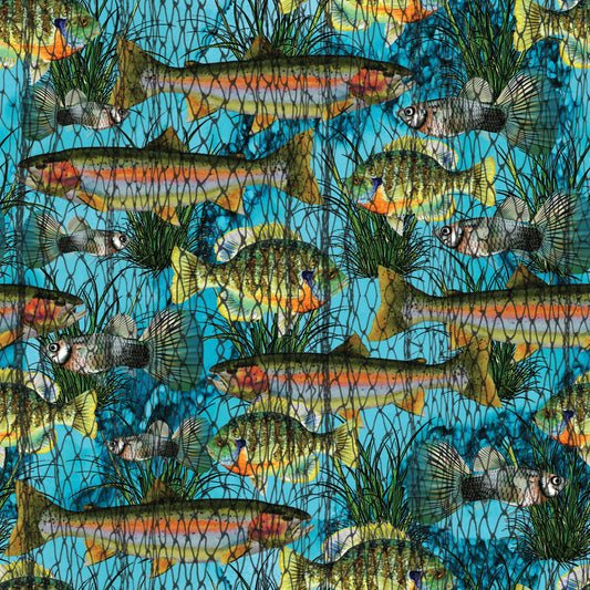 Pre Order Swag Blanket - Fish