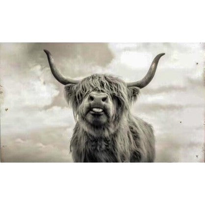 Tin Sign - Highland cow 2