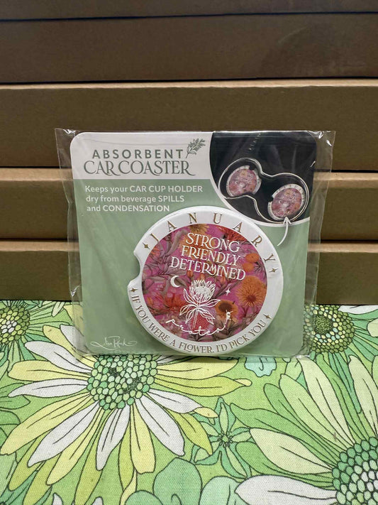 Lisa Pollock Car Coaster - January