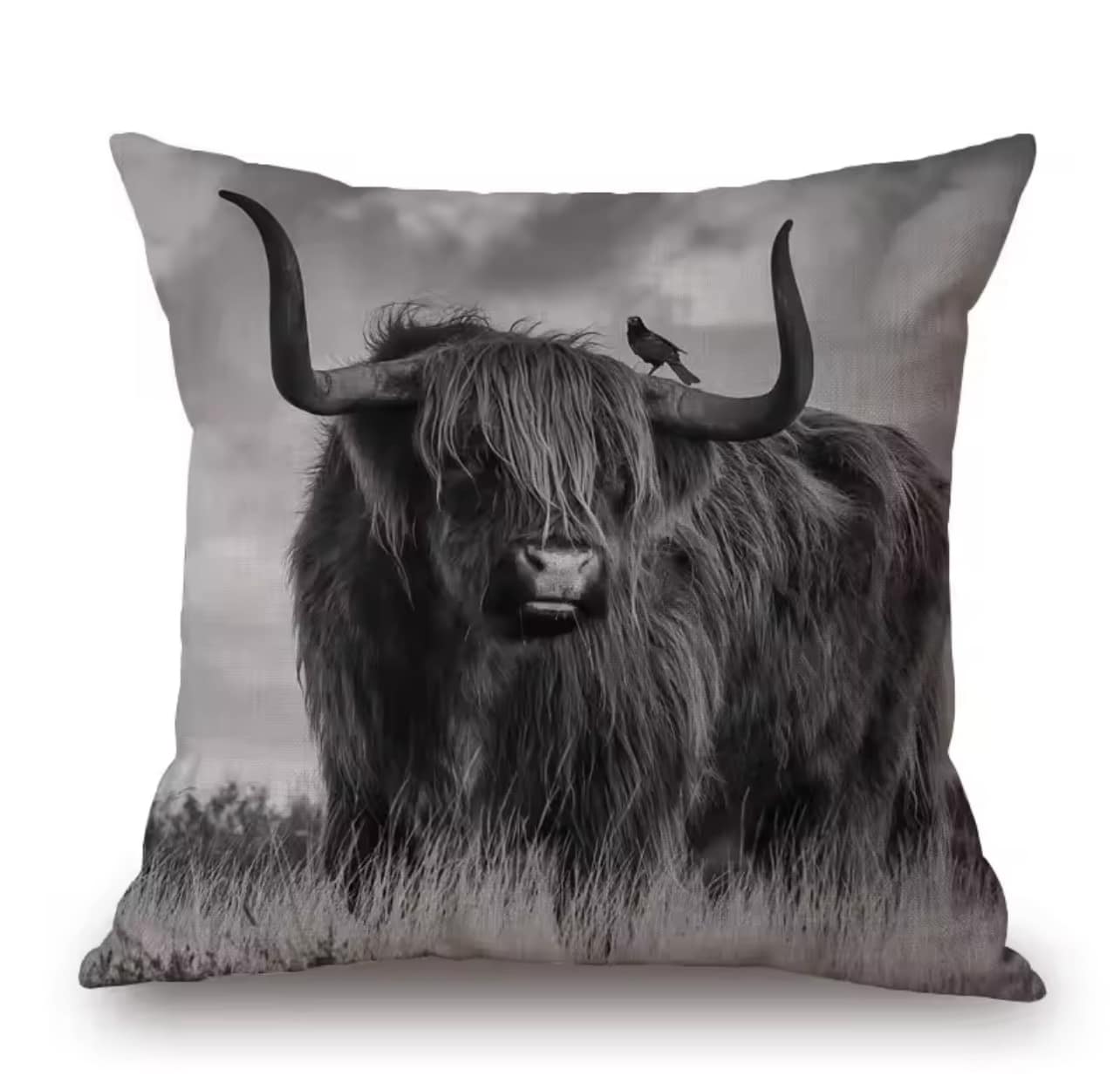 Cushions - Highland cow 6