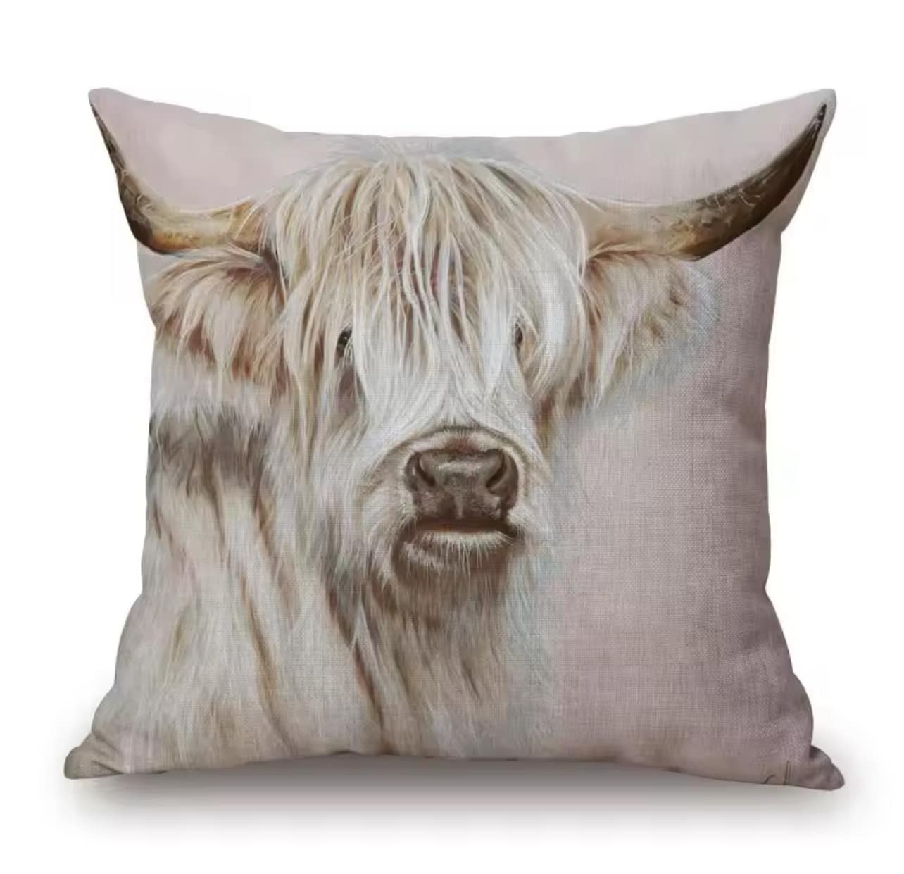 Cushions - Highland cow 3