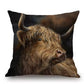 Cushions - Highland cow 4