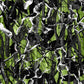 Pre Order Swag Blanket -Green camo