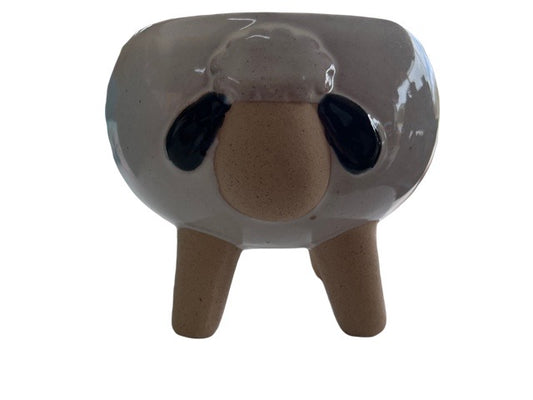 Black Sheep Pot