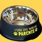 Dog Bowl - I still live with my parents