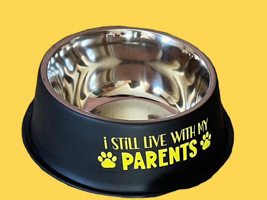 Dog Bowl - I still live with my parents