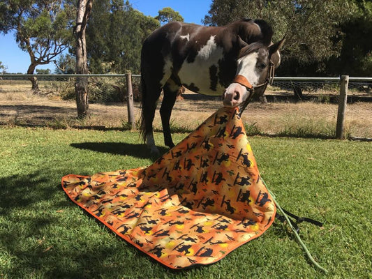 Picnic Blanket